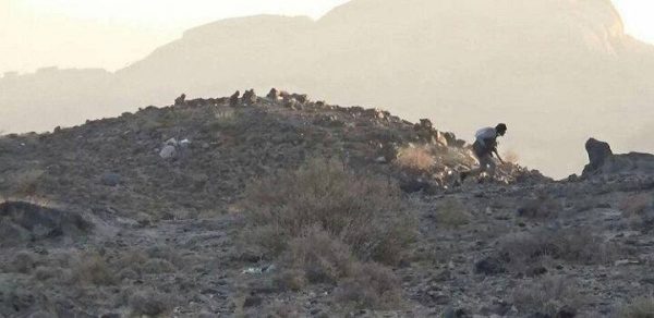 ائتلاف سعودی در یمن دست به دامان تروریستهای القاعده شد + نقشه میدانی و عکس ائتلاف سعودی در یمن دست به دامان تروریستهای القاعده شد + نقشه میدانی و عکس