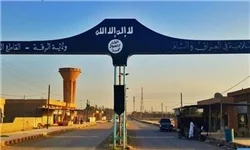 ارتش سوریه از جنوب غرب وارد استان رقه شد