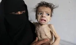 حجم بالای صادرات تسلیحات آلمان به کشورهای درگیر جنگ در یمن