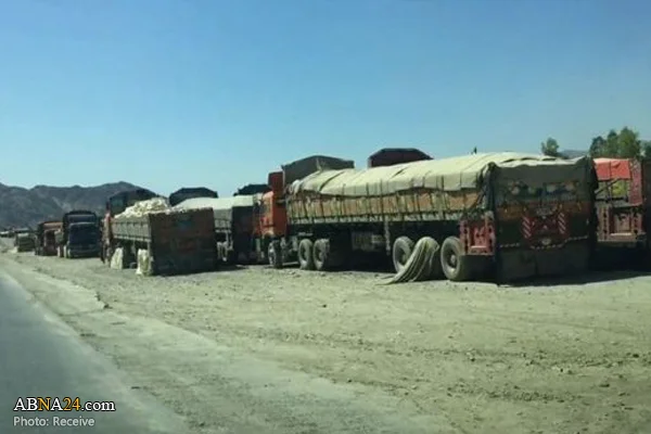 داعش و طالبان سرمست از درآمد ناشی از فروش پودر بچه + عکس