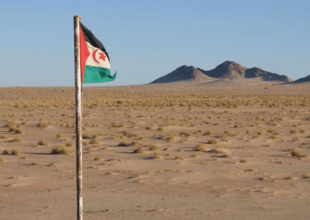 صحرای غربی، محور جدید نفوذ امارات و درگیری با الجزایر