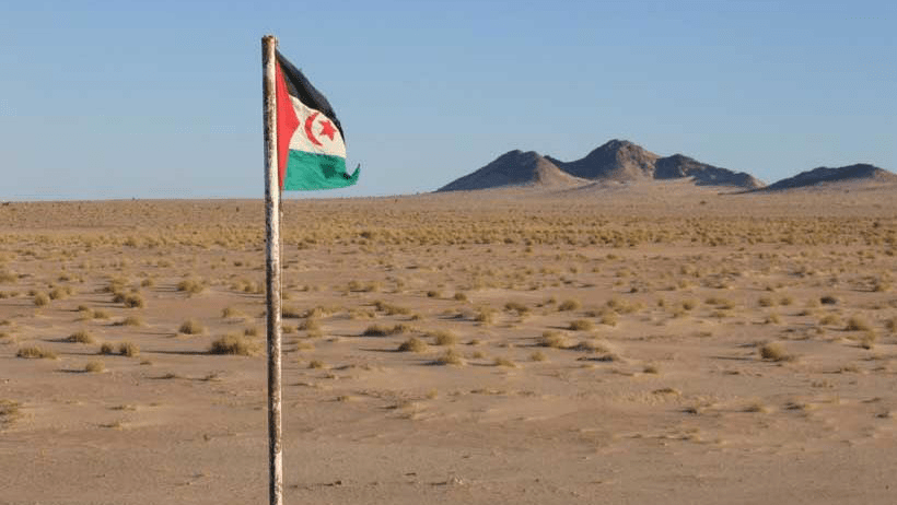 صحرای غربی، محور جدید نفوذ امارات و درگیری با الجزایر